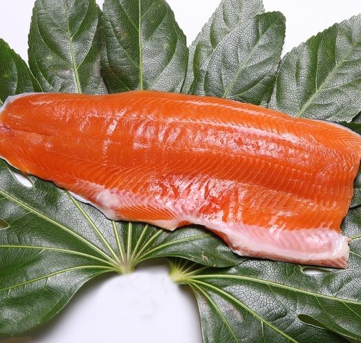 Iceland Frozen Iwana Trout 1pc 刺身用 アイスランド産 冷凍イワナフィーレ カルパッチョに最高 Kodawari Sg